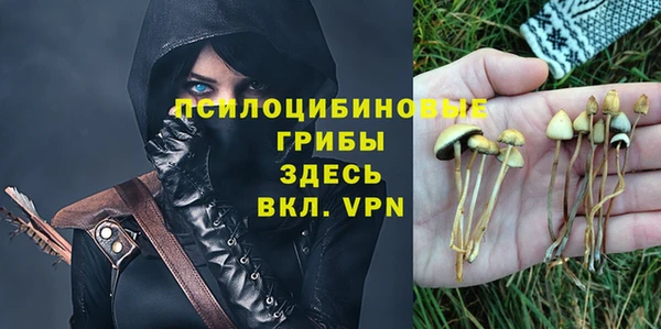 первитин Балахна