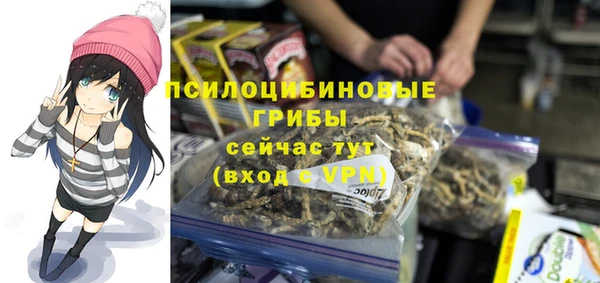 MDMA Premium VHQ Аркадак